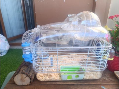 Hamster ve yuvası
