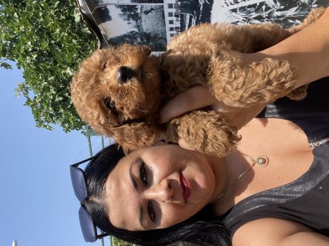 Ufacık sağlık ve ırk garantili toy poodle yavrularım