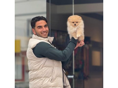 Yavru pomeranian bebeklerimiz