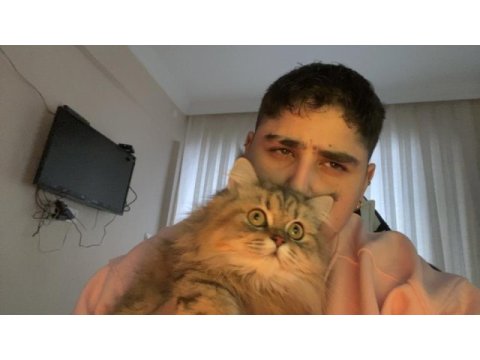 Çiftleştirmek istiyoruz dişi kedimizi cins kedimiz