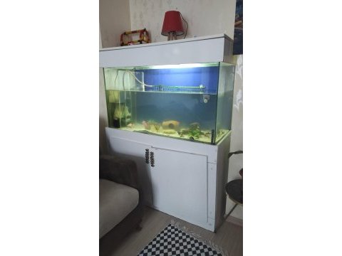 Büyük tam malzemeli akvaryum