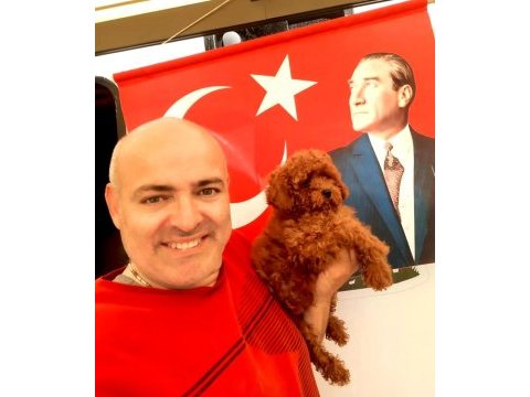 Toy poodle yavrularımız efsane bebişler