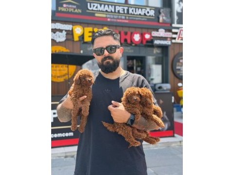 İnstagram cagri.cemcem