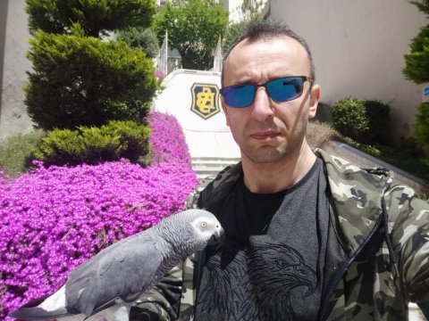 Ömür boyu bir dost jako papağanı