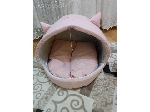 Kedi sahiplendirilecek