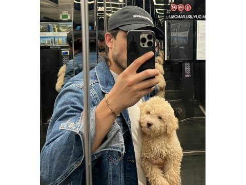 A kalite maltipoo