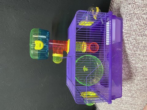 Hamster ve tüm ihtiyaçları için buradayız