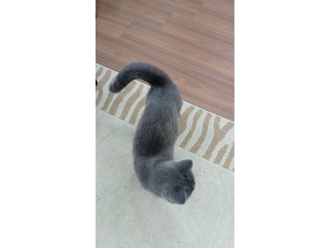 1 defa doğum yapmış 2 yaşında