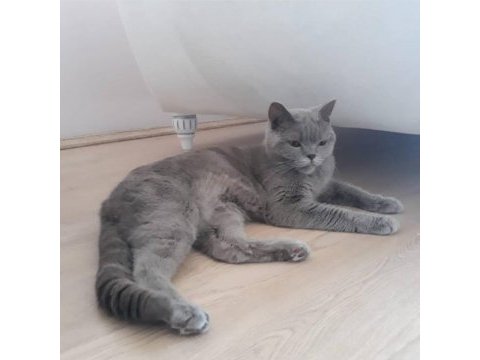 3 yasinda uysal oyuncu dişi