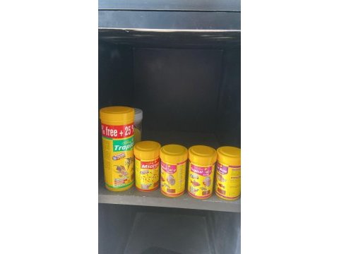 Balıklar ve akvaryum herşeyiyle birlikte toplu verilecektir