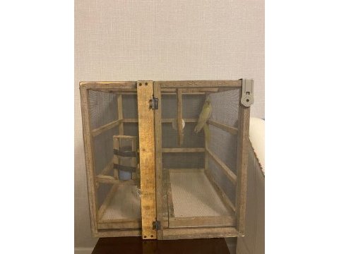 50x50x50 kuş kafesi