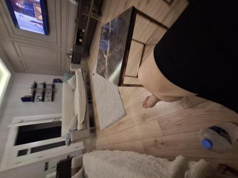 Full evcil en az 10 kel var evcimen kuşumuz
