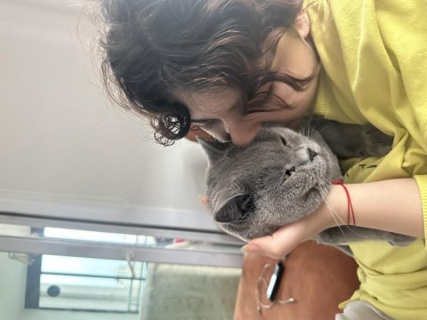 Çok uysal sakin cana yakın köpeğimiz çocuklarla iyi anlaşır