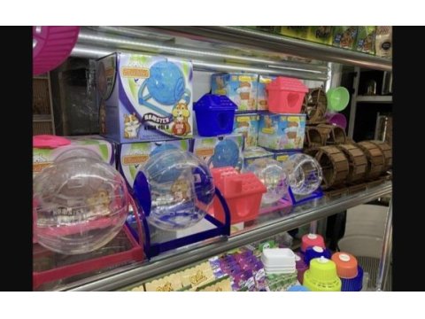 Minik hamster dostunu seç adresine gelsin