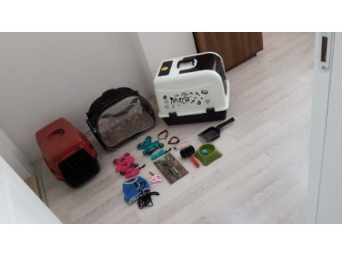 Kedi malzemeleri