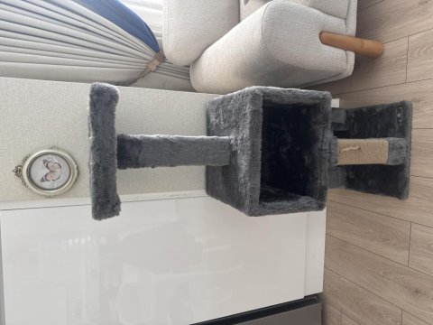 Aksesuarları ile birlikte kedimi sahiplendirmek istiyorum