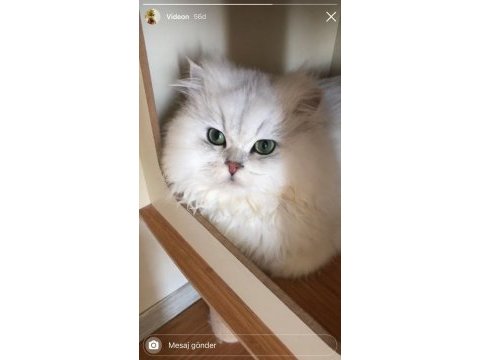 Bilgi için whatsapp mesajı bırakabilirsiniz