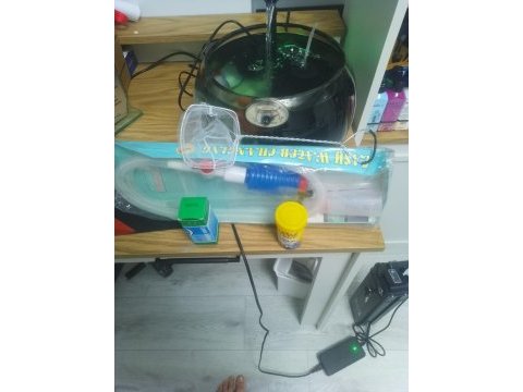 Satılık 3 tane japon balığı