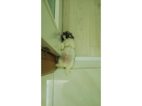 2 aylık bebeğime güzel bir yuva