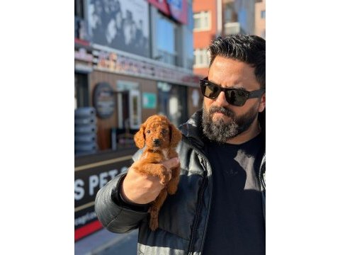 Çağrı çemçem in sizin için seçtiği özel yavrular 