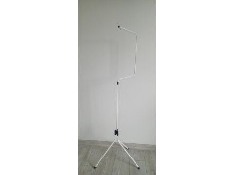 Muhabbet kuşu rainbow 5 aylık