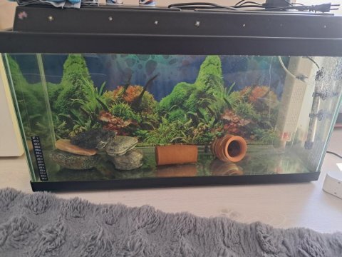 90 litre akvaryum