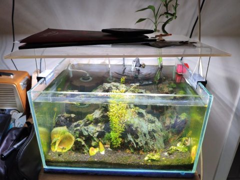 Ultra clear camlı komple akvaryum