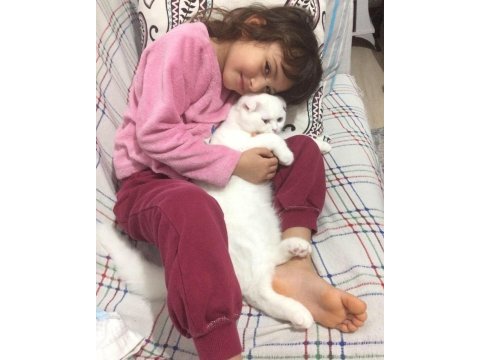 Karbeyaz mavi gözlü kedimiz uyguna sahiplendirilecek kedim