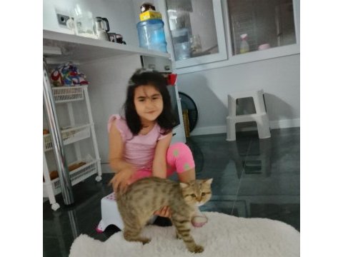 Ücretsiz sıcak bir yuvası olsun istiyoruz