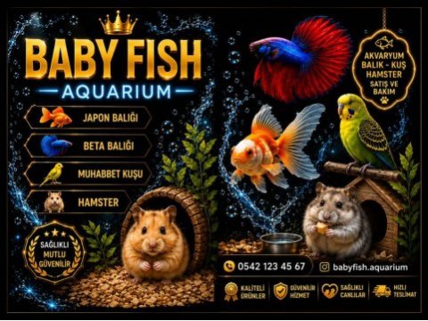 Piyasanın en uygunu muhabbet kuşu adresine gelsin