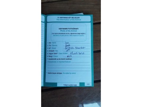 Kedimizi ve ekipmanlarını ücretsiz sahiplendiriyoruz