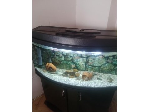 Tetra 1200 diş filtre ve 1 metre bombeli akvaryum