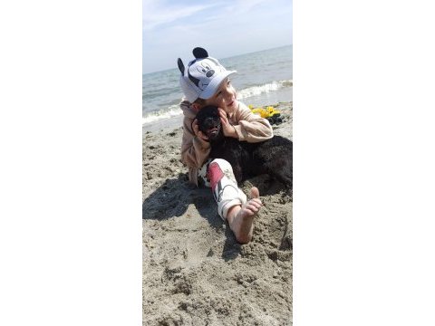 Chug 5 kg minik sütlacımız köpeğimiz
