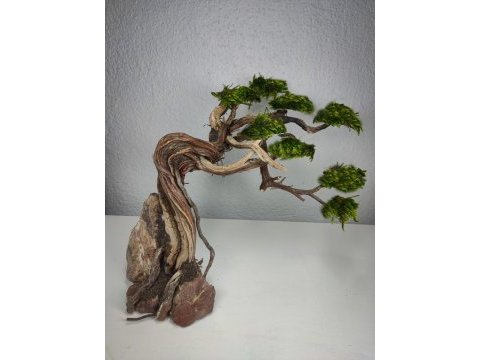 Akvaryum dekoru moss ağacı