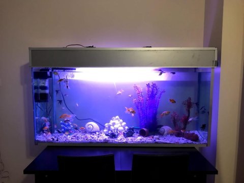 150 cm uzunluğunda 70 cm yüksekliğinde kurulu düzen