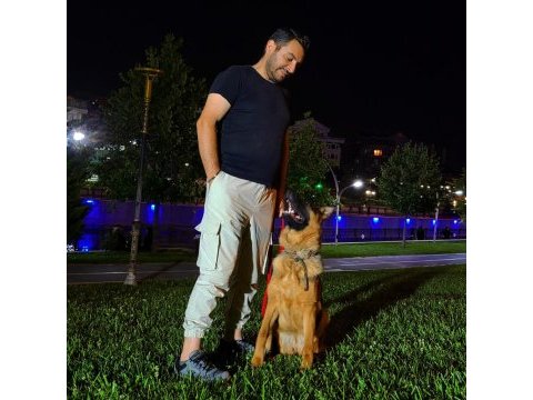 2 yaş şecereli alman çoban köpeği
