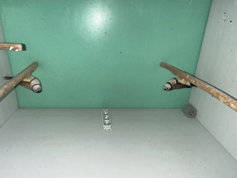 Baykuş çift ispinoz