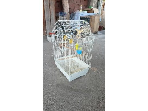 Muhabbet kuşu kafesiyle her şeyi hazır