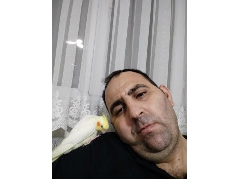 Lutino kırmızı göz yavru sultan papağanı