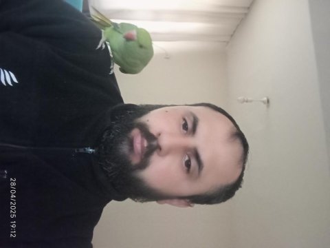 Pakistan papağanımız alışık kuşumuz