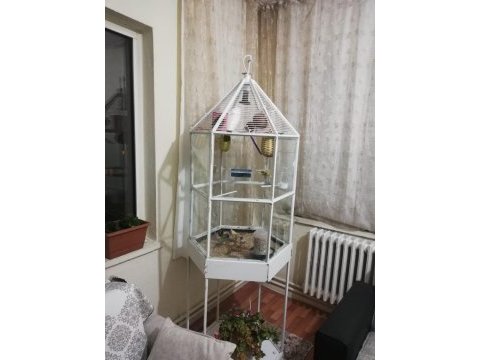 Salma cam vitrin kafes-porselen lamba ısıtıcılı