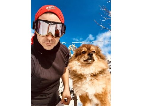 Pomeranian spitz yavrular kahve beyaz siyah