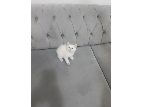 Bal küpü oyuncu kızımız yuvasını arıyor