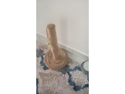 Evimizin aslanı kedimiz