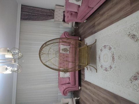 Papağan kafesi
