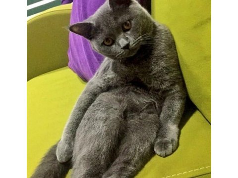 Babalık hakkı miniğim ömürlük yuvasını arıyor