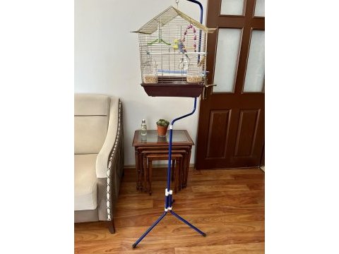 Muhabbet kuşu kafesi ile birlikte