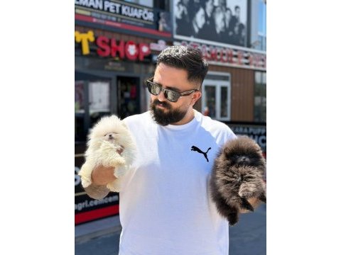 İnstagram cagri.cemcem lütfen takip edininiz 