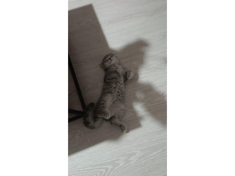 3 aylık luna kızım vitamin deposu sağlık garantili