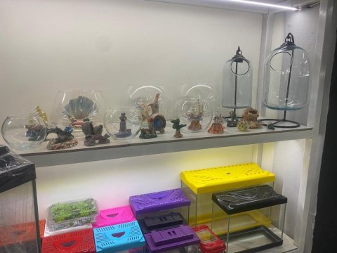 Antalya adrese teslim akvaryum kurulum temizlik yapılır